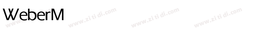 Weber Medium字体转换